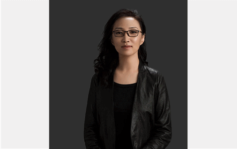 Pei Xin Meng, PhD Associate Professor Chinese Central Academy of Fine Arts, China Editorial Board Member