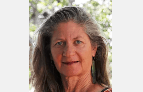 Amanda Levey Programme Director Whitecliffe College of Arts and Design, New Zealand Editorial Board Member